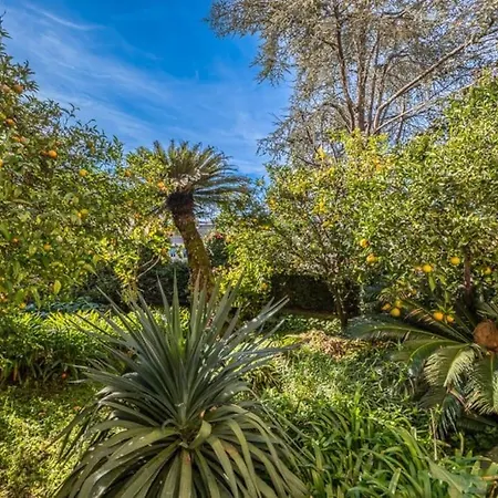 Rapallo, A Due Passi Dal Mare Con Veranda E Giardino! * Rapallo
