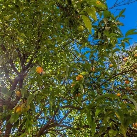 Rapallo, A Due Passi Dal Mare Con Veranda E Giardino! Apartment