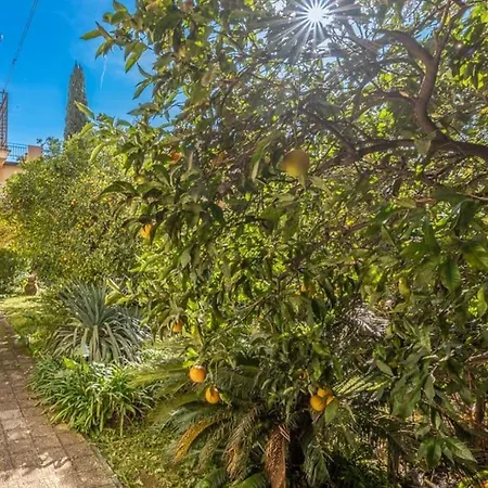 Rapallo, A Due Passi Dal Mare Con Veranda E Giardino! Apartment
